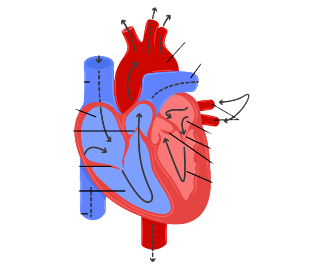 CV